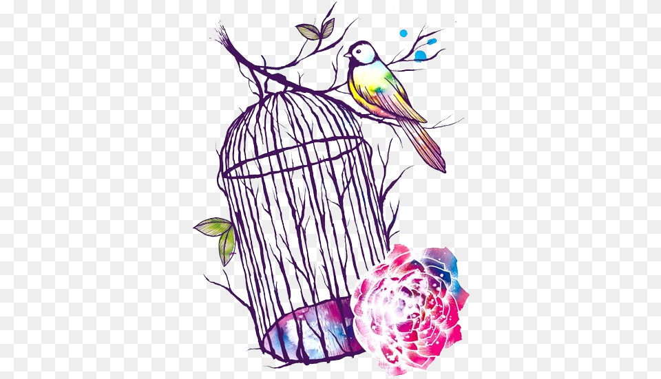 Bird Colorful And Flowers Image Bird Cage Drawing, Art, Animal, Finch Free Png