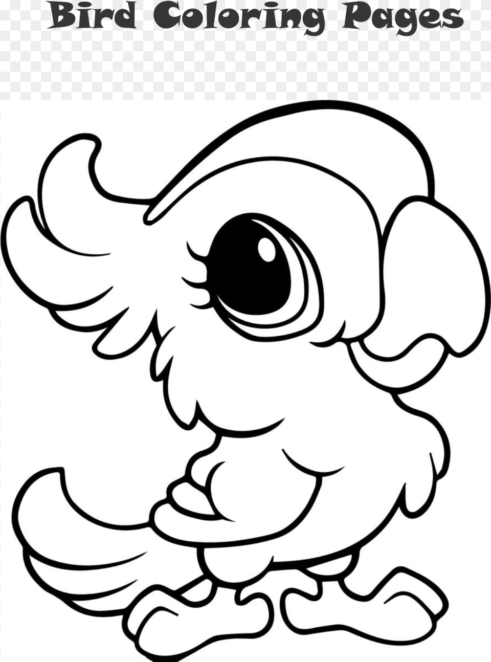 Bird Coloring, Baby, Person, Face, Head Free Transparent Png