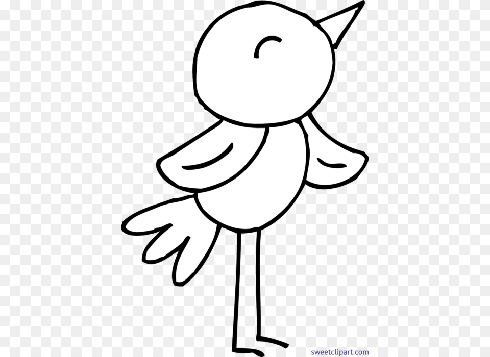 Bird Coloring, Stencil, Animal, Mammal, Rabbit Free Png