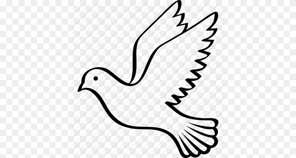 Bird Columbidae Dove Flying Peace Pigeon Wings Icon, Clothing, Glove, Animal Free Png Download