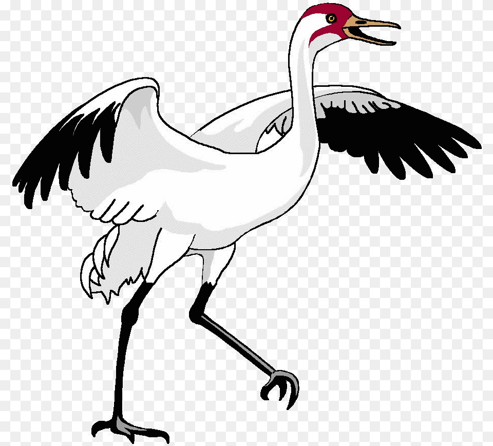 Bird Crane Clipart Transparent Waterfowl, Animal, Crane Bird, Adult, Person Png