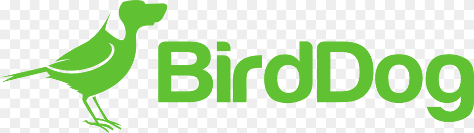 Bird Dog Tv Logo, Green, Animal, Jay Png Image