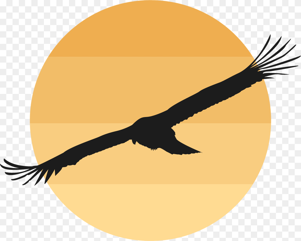 Bird Domestic Goose Clip Art, Animal, Flying, Vulture, Kite Bird Free Png Download