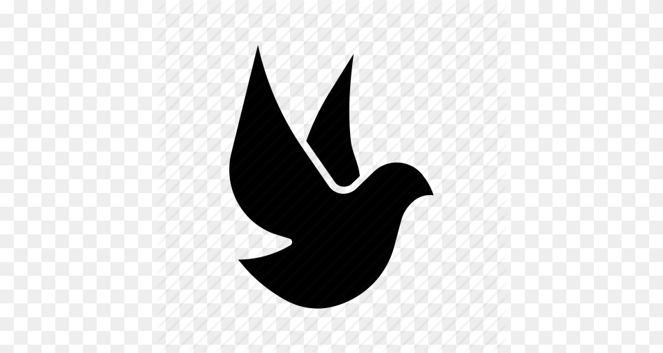Bird Dove Freedom Paloma Peace Pigeon Pombo Icon, Animal Png