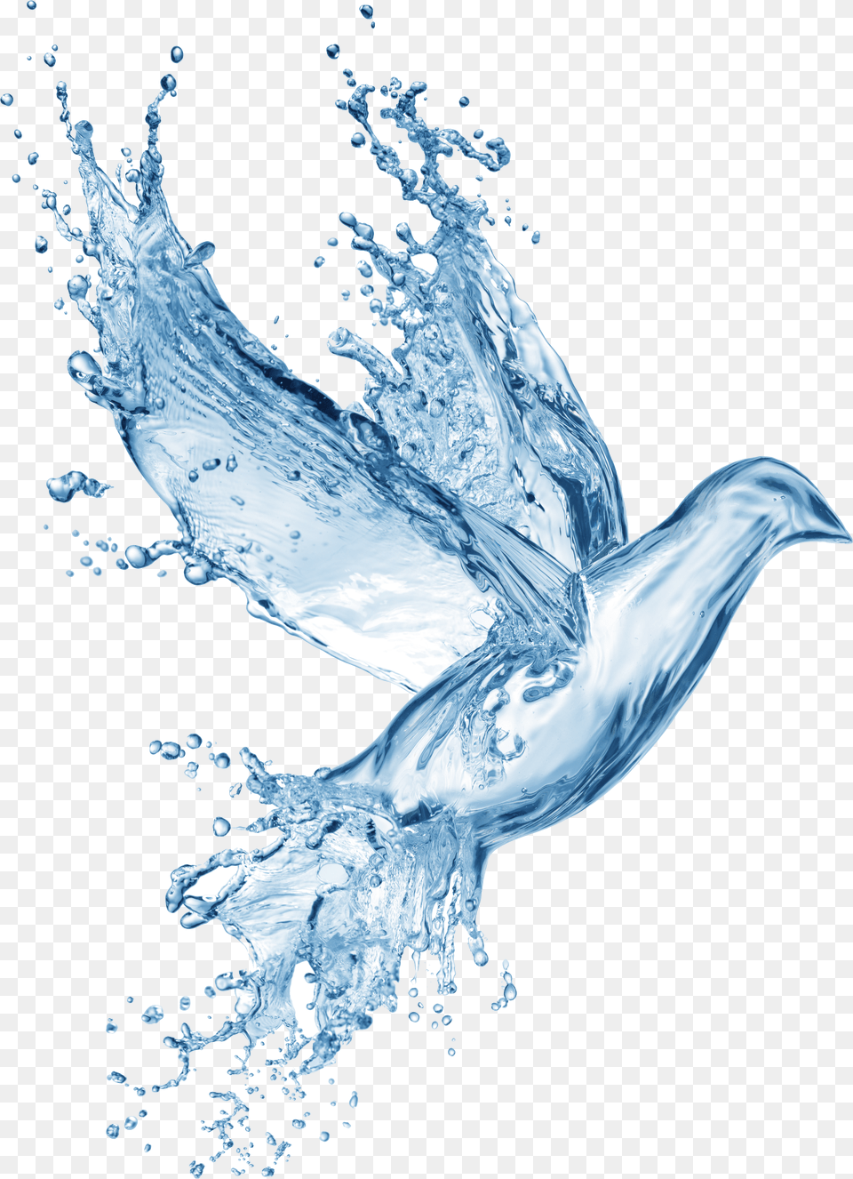 Bird Dove Water Splash Holy Spirit Symbols Water Free Png Download