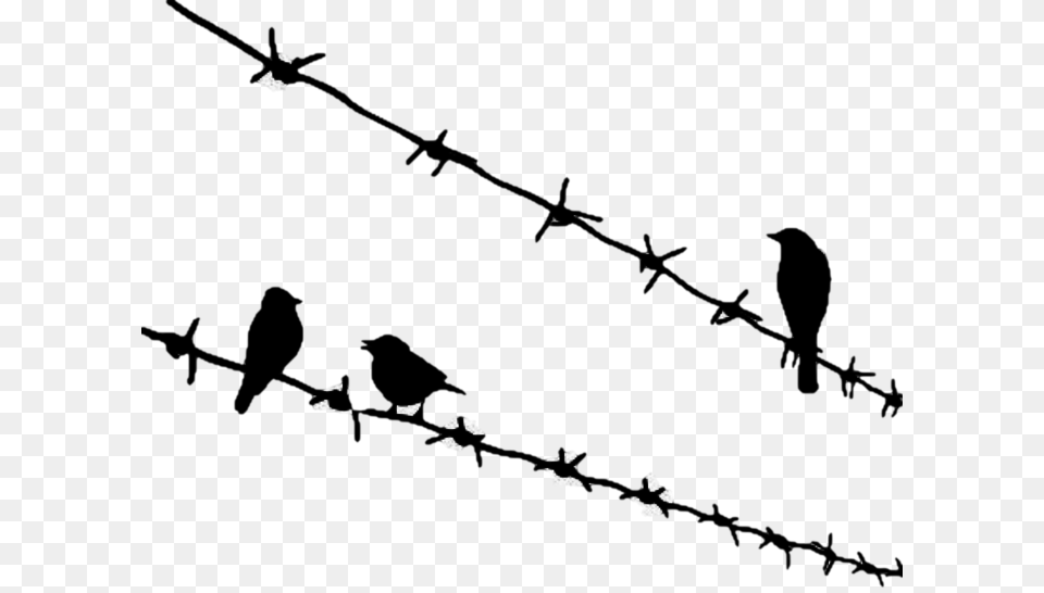 Bird Birds Sitting On Wire Tattoo, Lighting, Silhouette, Nature, Night Free Png Download