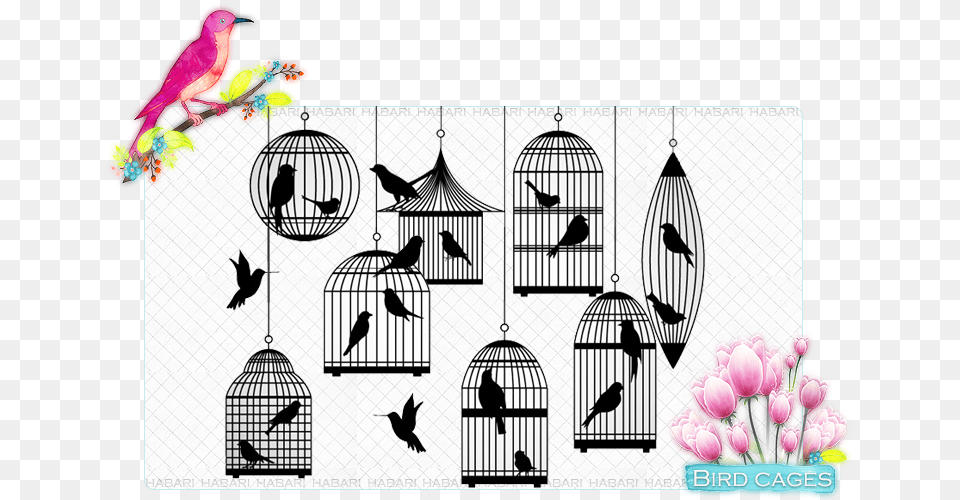 Bird Download Silhouette Of A Bird Cage, Animal, Parakeet, Parrot Free Transparent Png