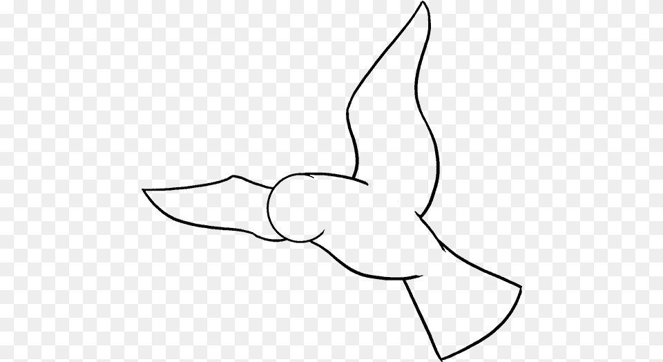 Bird Draw, Gray Png