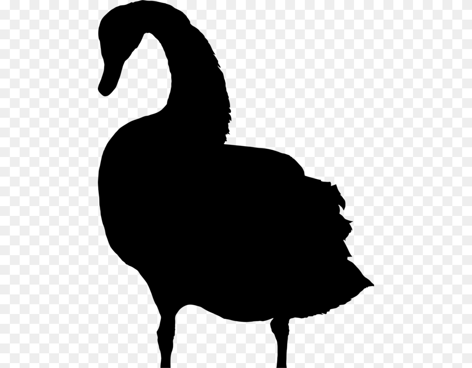 Bird Drawing Silhouette Black Swan Computer Icons, Gray Free Transparent Png