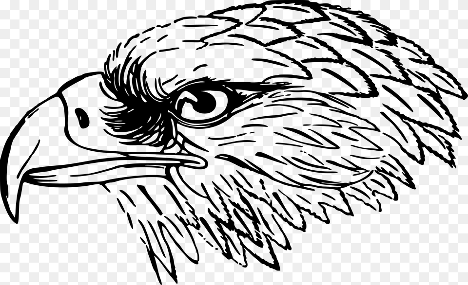Bird Eagle Head Snake Eagle Falcon Clipart Black And White, Gray Free Png