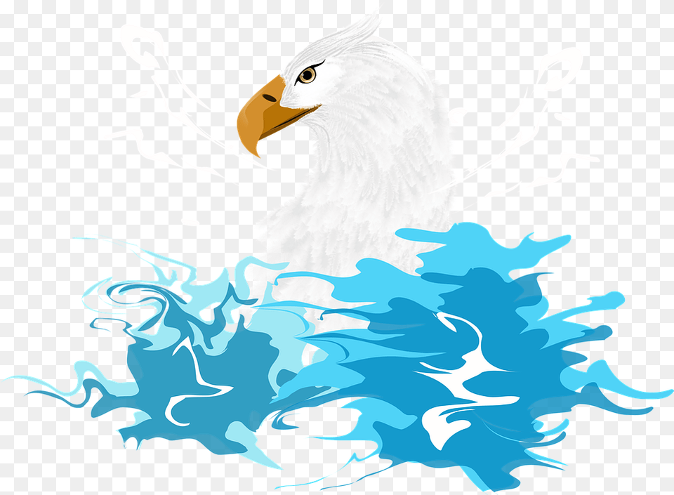 Bird Eagle Symbol Automotive Decal, Animal, Beak Png Image