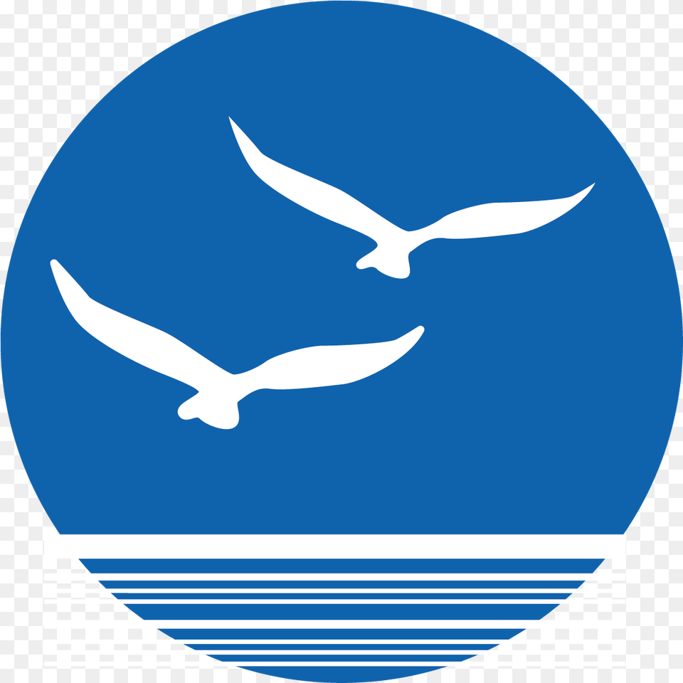 Bird Euclidean Vector Turismo Nautico Icono, Animal, Flying, Fish, Sea Life Free Png Download