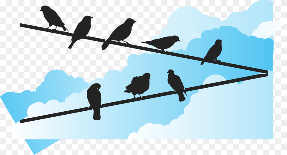 Bird Euclidean Vector Wire Silhouette, Animal, Blackbird Free Transparent Png