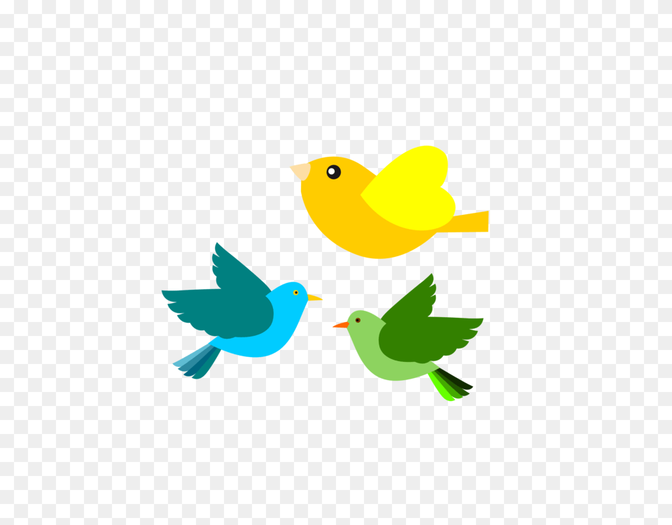 Bird European Robin Clip Art Christmas Drawing, Animal, Canary Free Png Download