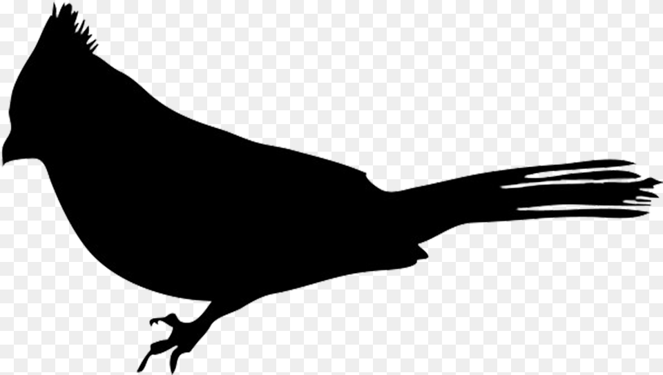 Bird European Robin Silhouette Clip Art Robin Bird Silhouette, Animal, Blackbird, Jay Free Png Download