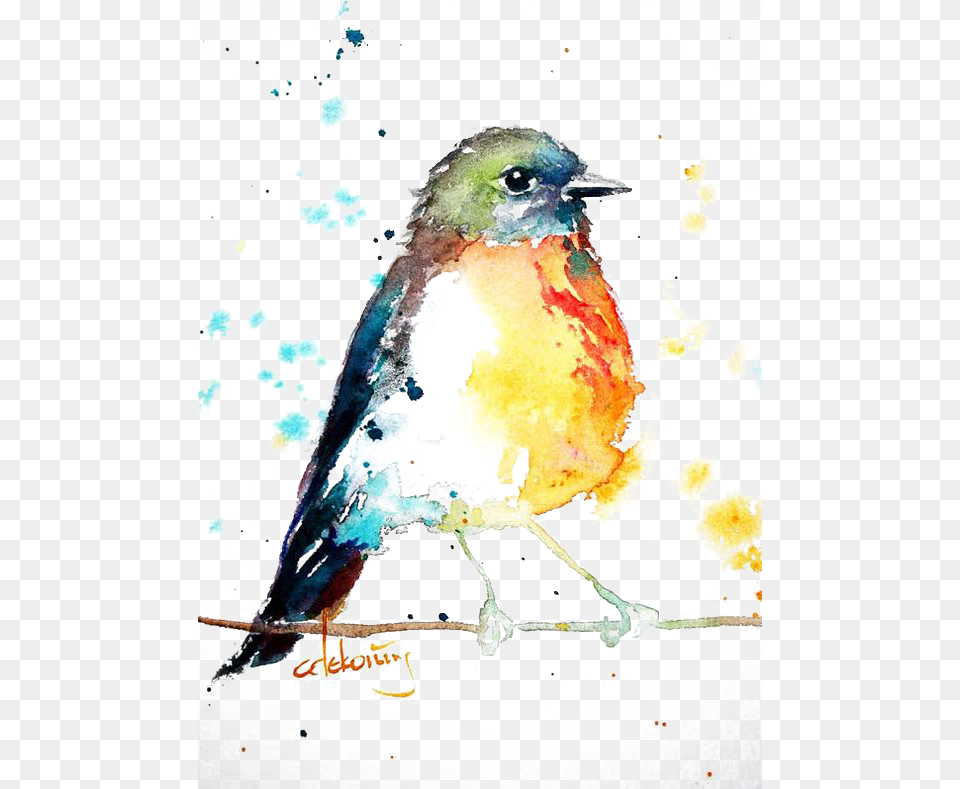 Bird European Robin Watercolor Painting Drawing Love Birds Watercolour Paintings, Animal, Finch, Art, Jay Png