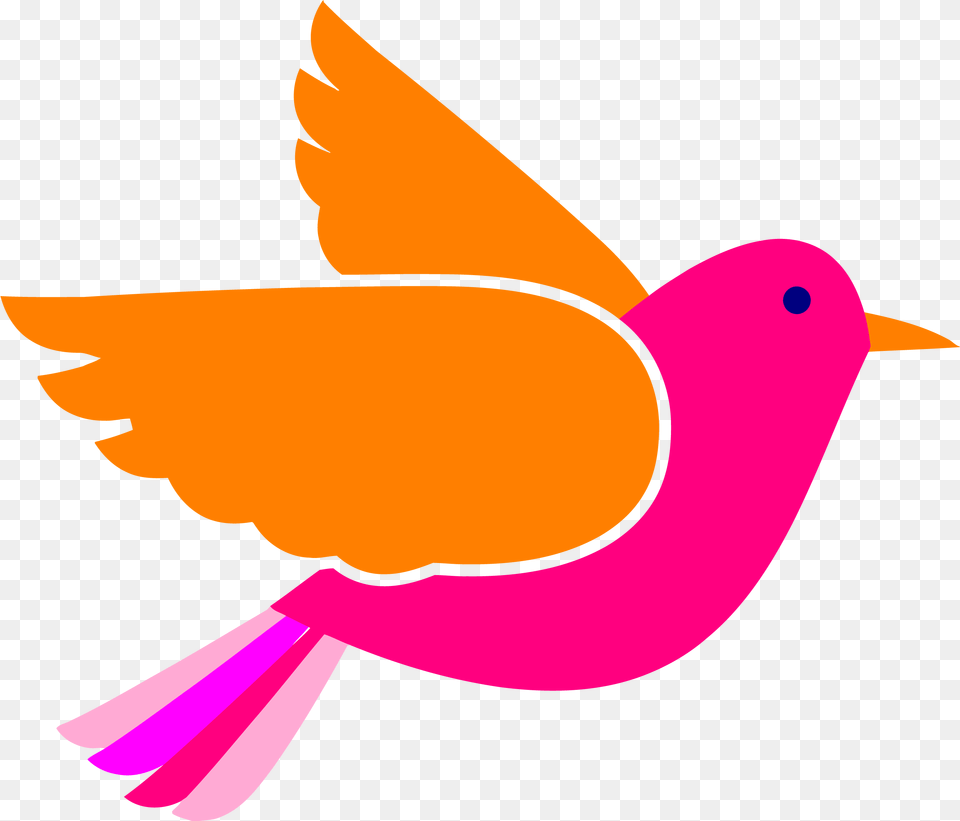 Bird Face Clip Art Pink Birds Flying Bird Clipart, Animal, Beak, Pigeon, Dove Free Transparent Png
