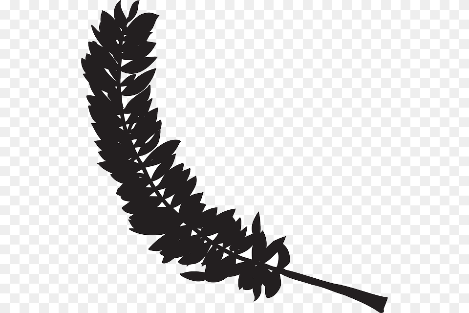 Bird Feather Clip Art, Leaf, Plant, Silhouette, Stencil Free Png