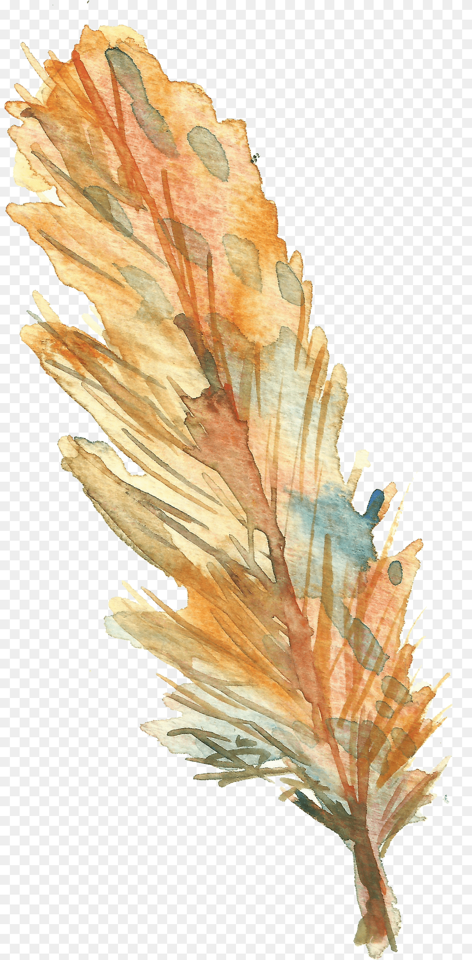 Bird Feather Drawing Feather Drawing Yellow Free Png