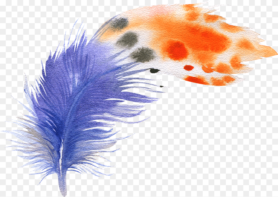 Bird Feather Drawing Feather Plumes Animal, Dinosaur, Reptile Free Transparent Png