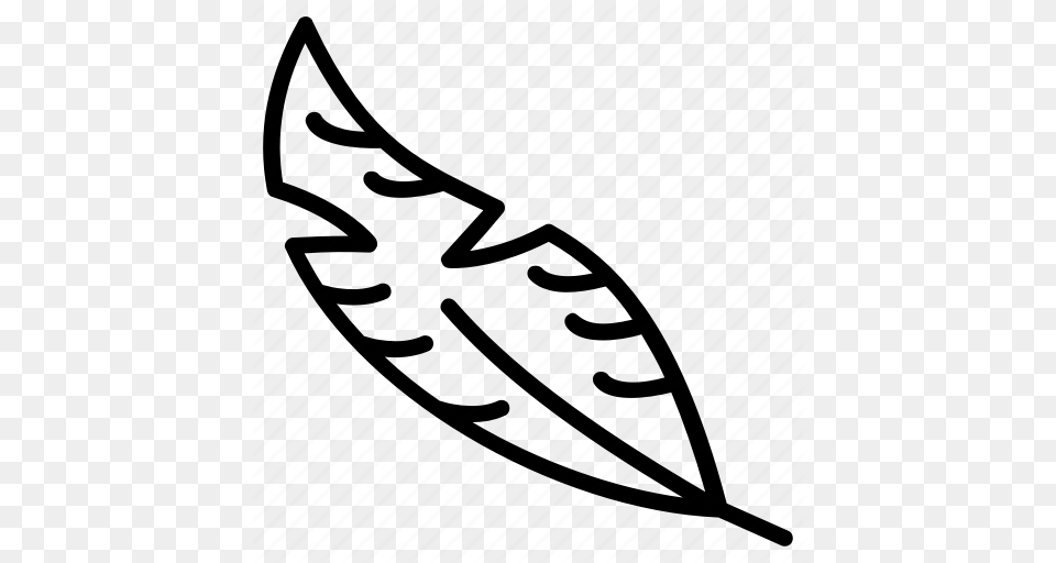 Bird Feather Feather Feather Pen Quill Wing Icon, Boat, Transportation, Vehicle Free Transparent Png