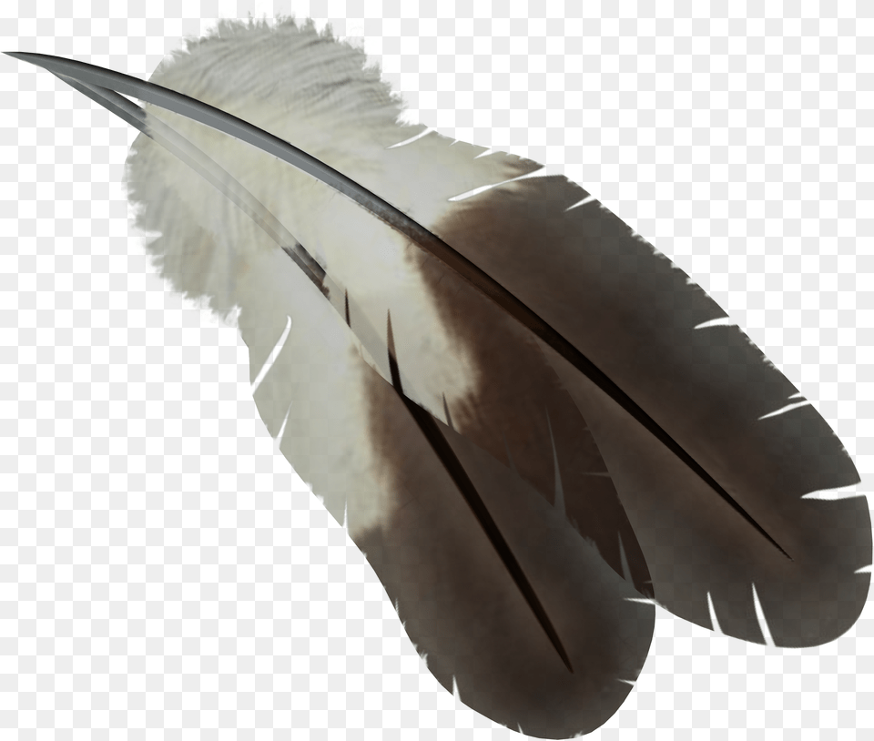 Bird Feather Hd, Animal, Beak, Bottle, Blade Free Png Download