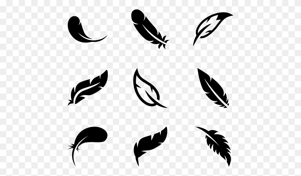 Bird Feather Image Background Arts, Gray Png