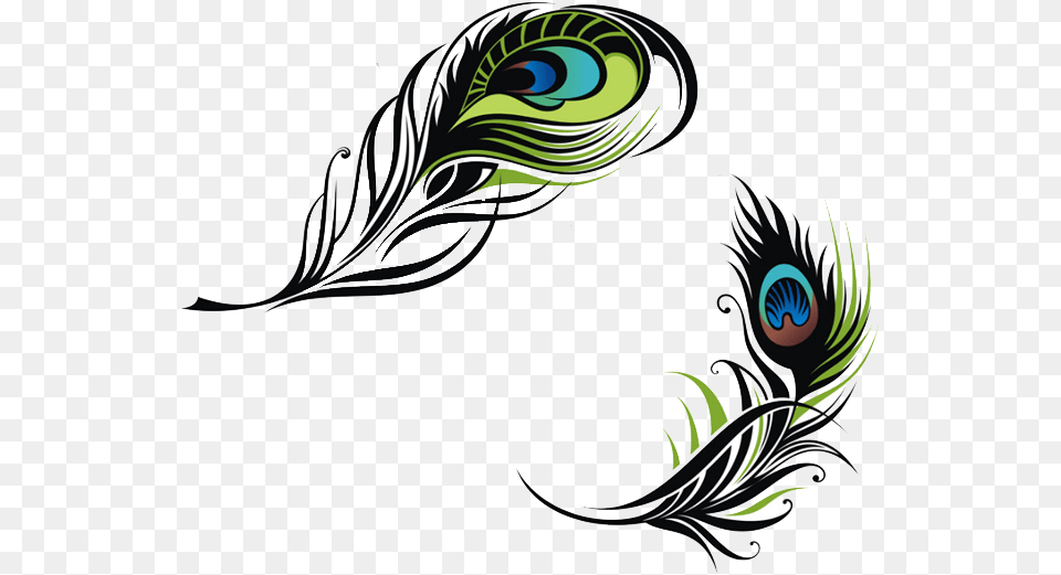 Bird Feather Peafowl Euclidean Vector Vector Peacock Feather, Art, Graphics, Pattern, Floral Design Png Image