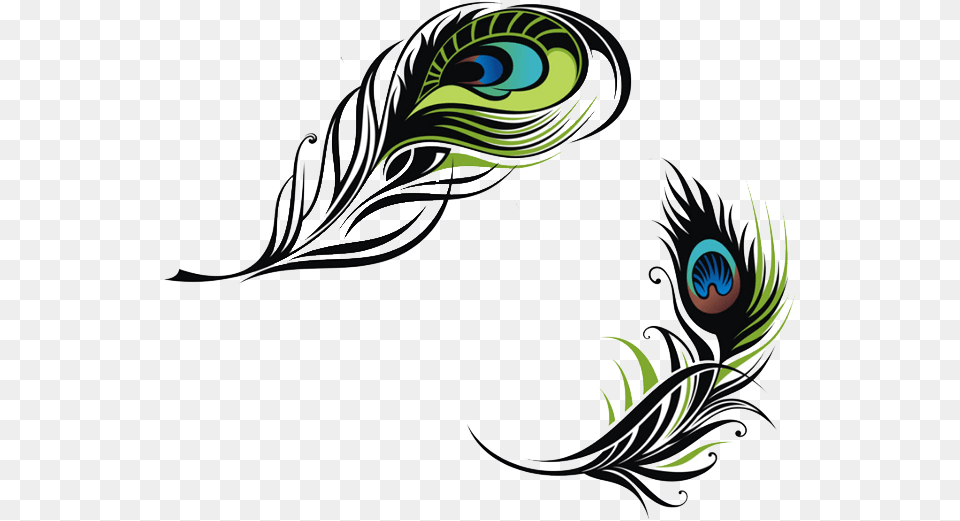 Bird Feather Peafowl Euclidean Vector Vector Peacock Feather Illustration, Art, Graphics, Pattern, Floral Design Png