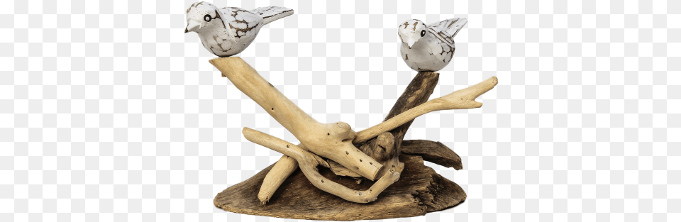 Bird Figurine Driftwood Varied Colours Decoration Lawn Ornament, Wood, Animal, Antler Free Png Download