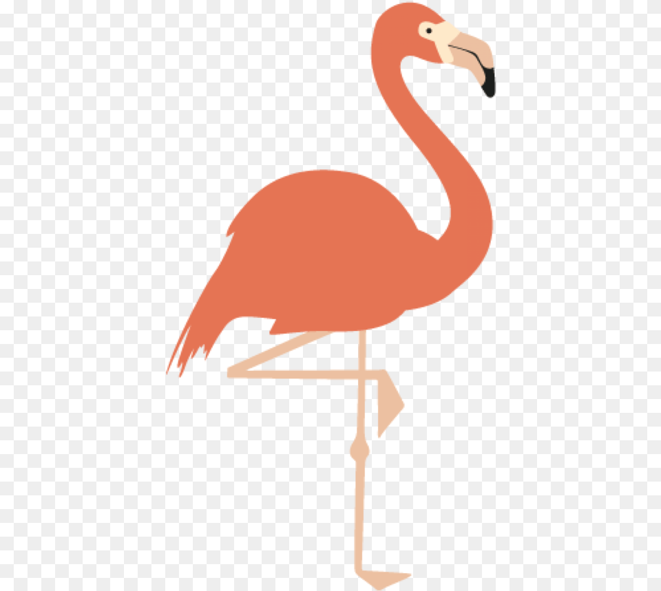 Bird Flamingo Water Neck Clipart Background Flamingo Clip Art, Animal, Adult, Female, Person Free Png