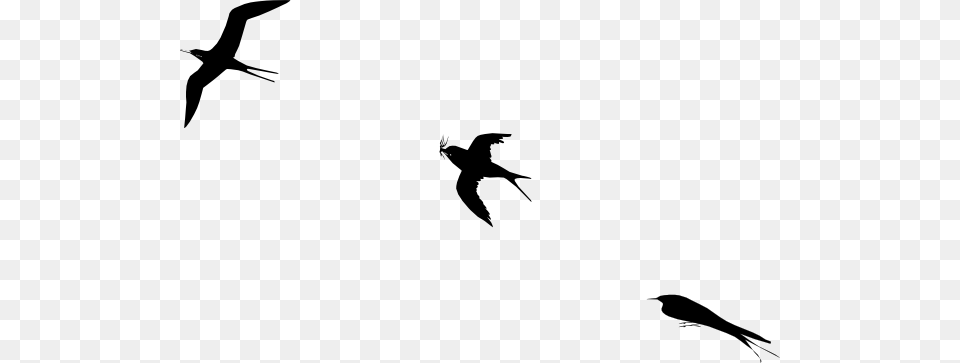 Bird Flight Clip Art, Animal, Flying, Silhouette, Blackbird Free Png Download