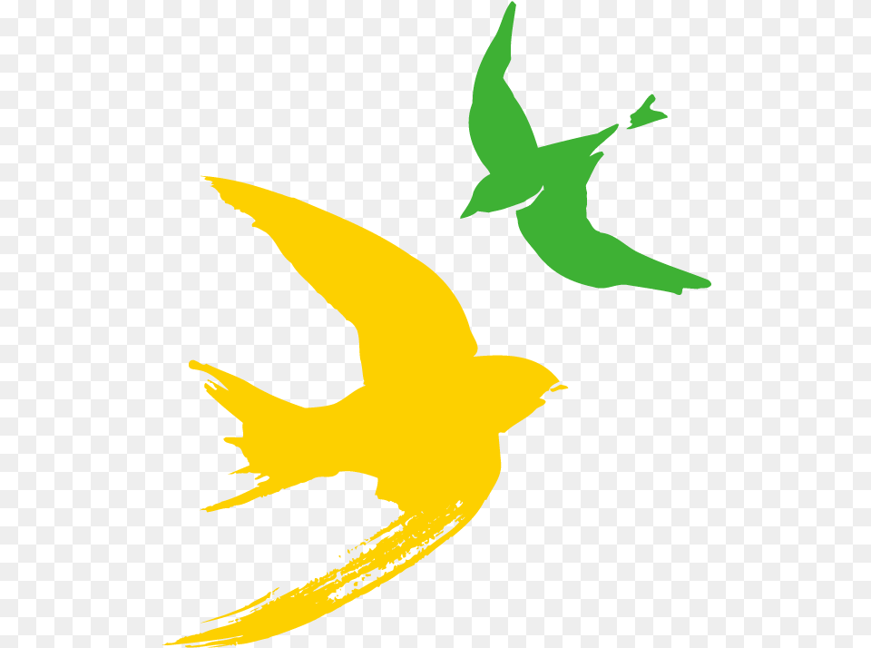 Bird Flight Clip Art, Animal, Swallow, Fish, Sea Life Png Image