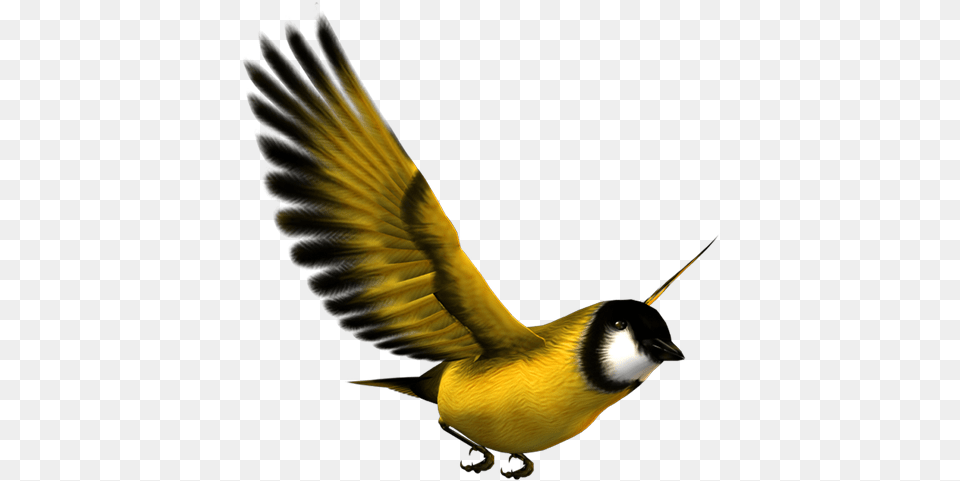 Bird Flight Eurasian Magpie Yellow Yellow Bird Flying Yellow Bird, Animal, Beak, Finch Png