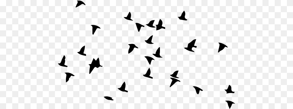 Bird Flight Flock Wall Decal Clip Art Oiseaux En Vol Dessin, Gray Png Image