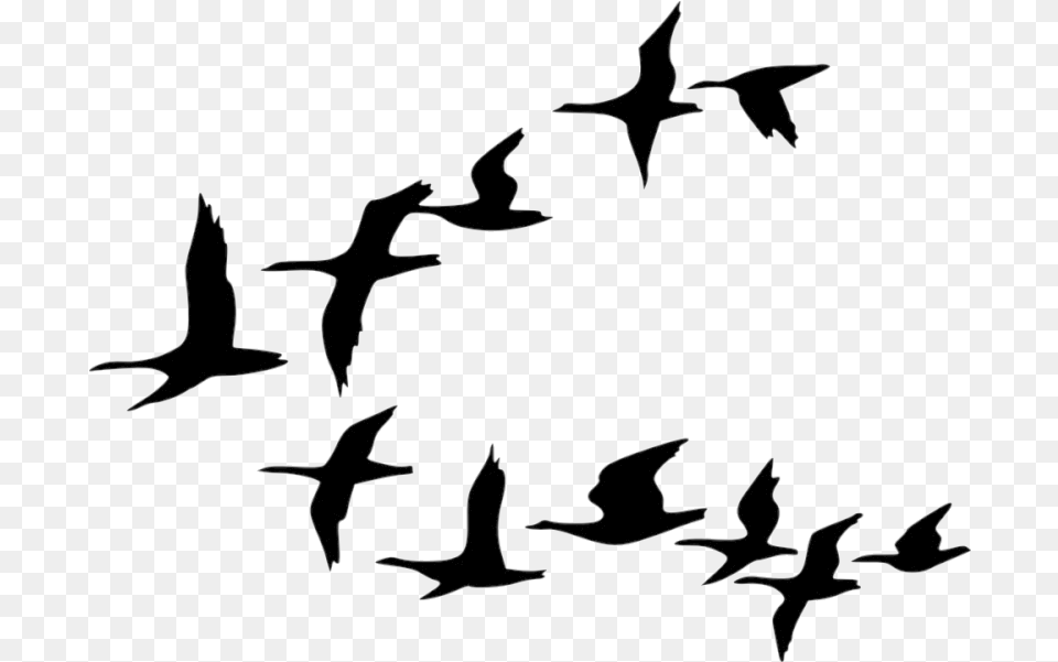 Bird Flock Of Birds Clipart Tree Cartoon Black And Cartoon Flying Birds, Silhouette, Animal, Stencil Png Image