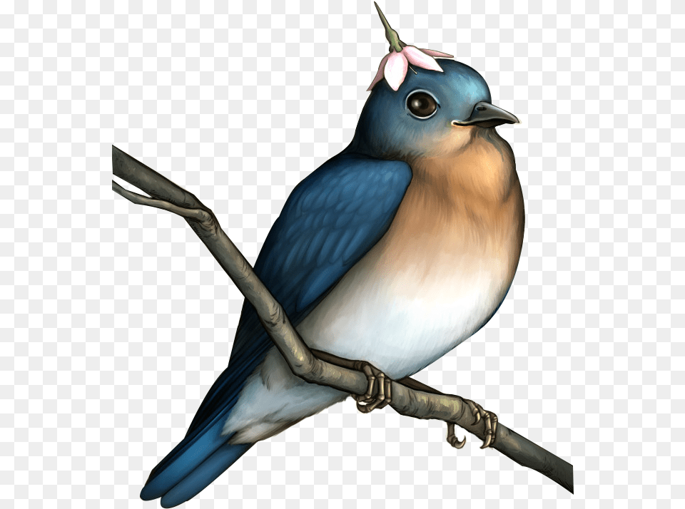 Bird Flower Hand Painted Bird Painting, Animal, Bluebird, Blue Jay, Jay Free Png