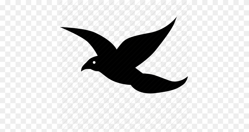 Bird Fly Parrot Wings Icon, Animal, Blackbird, Flying, Silhouette Free Png