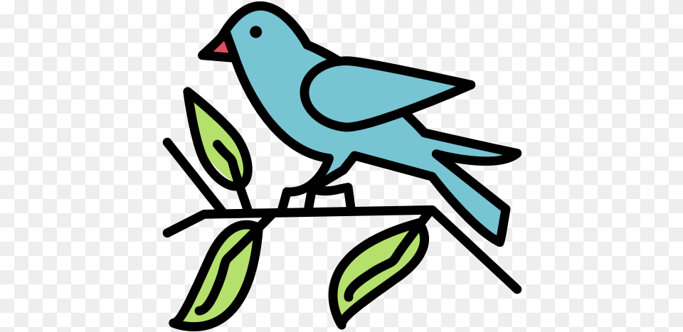 Bird Fly Pet Sparrow Icon Birds In Spring Icon, Animal, Finch, Beak, Fish Png Image