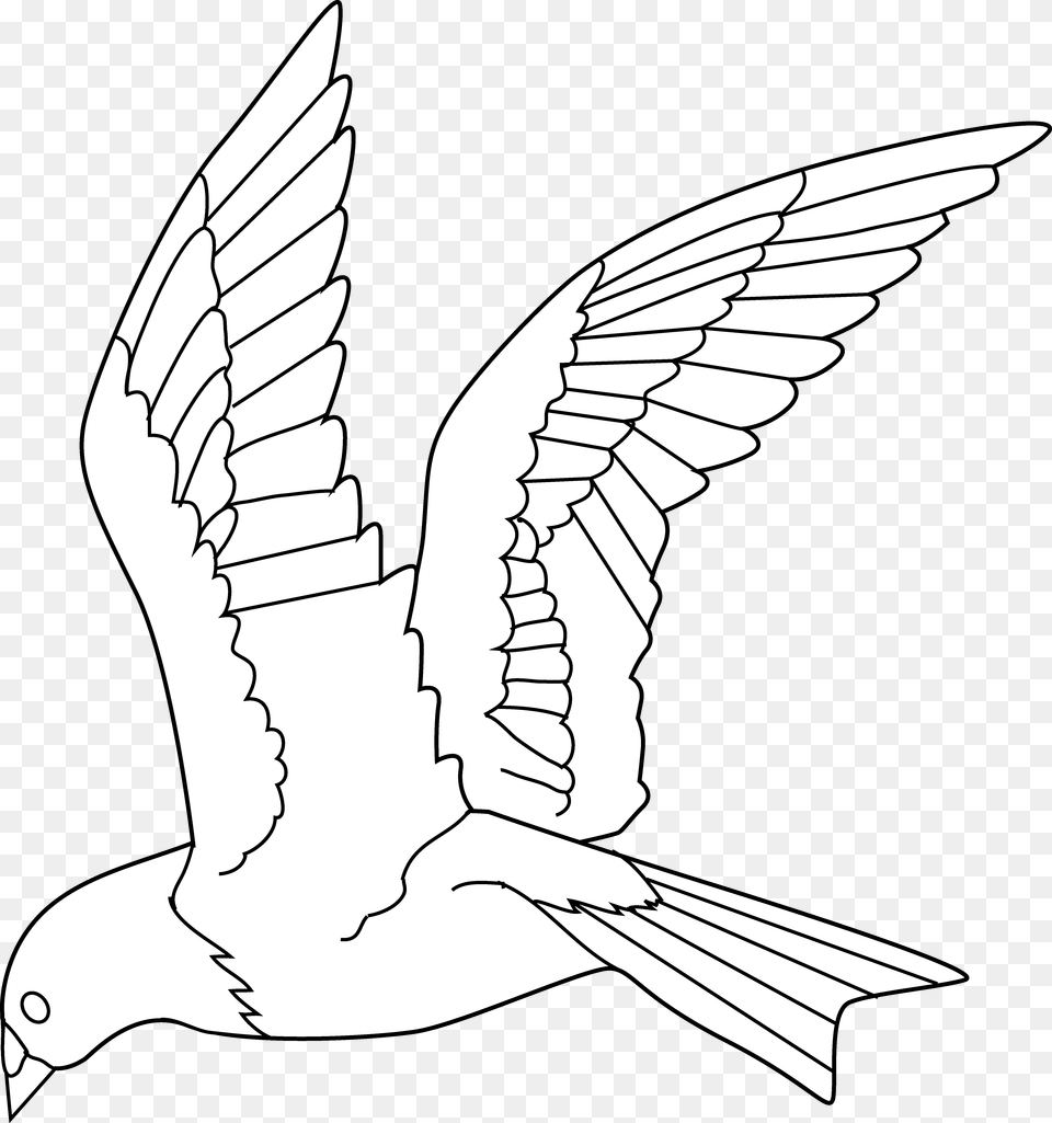 Bird Flying Clipart Black And White, Animal, Kite Bird Png Image