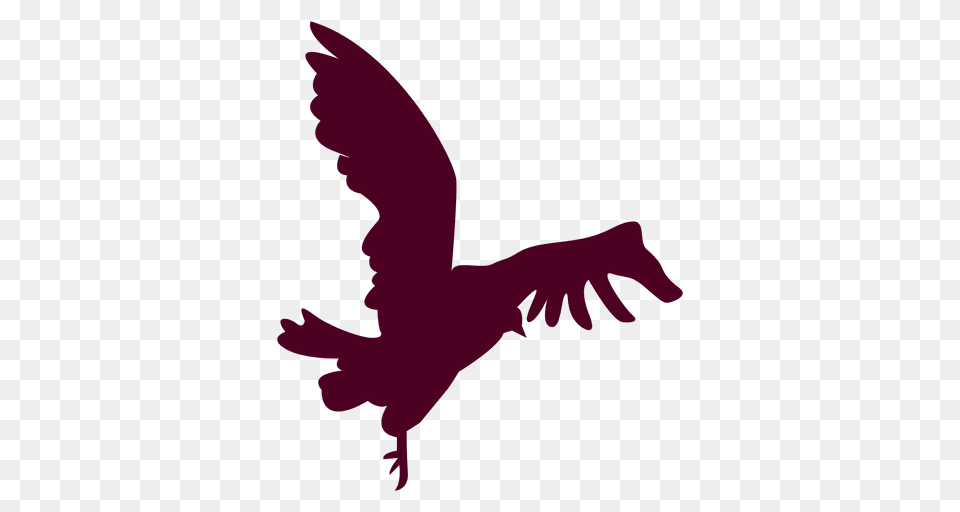 Bird Flying Close To Landing Silhouette, Animal, Vulture, Baby, Person Free Png
