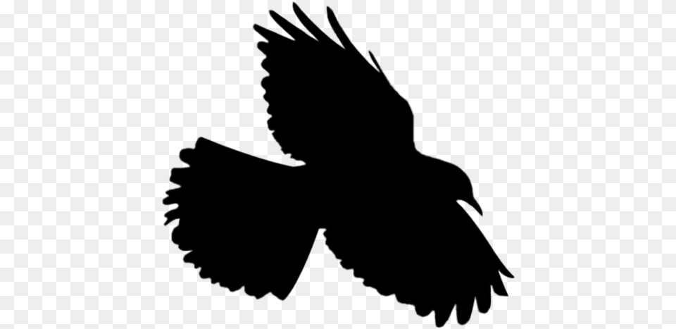 Bird Flying Flyingbird Silhouette, Electronics, Hardware, Outdoors Free Png