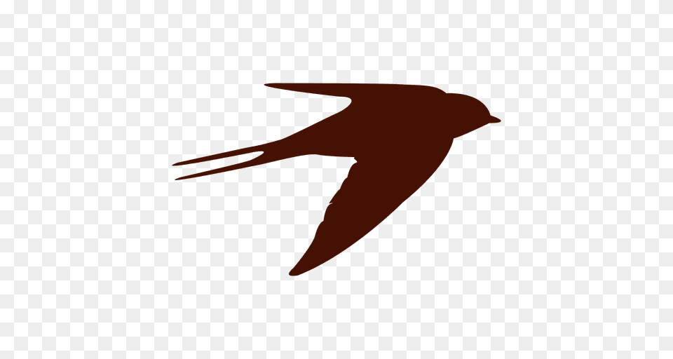 Bird Flying Silhouette, Animal, Swallow, Fish, Sea Life Free Transparent Png