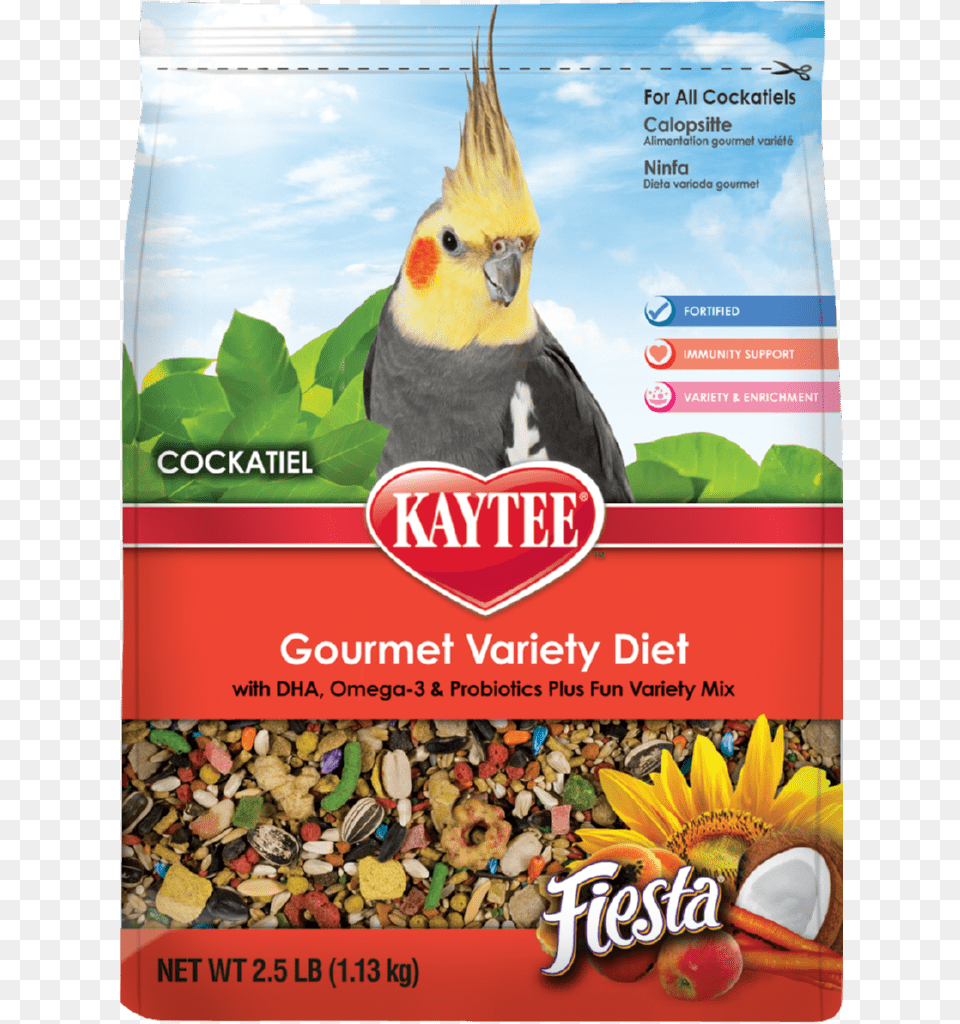 Bird Food For Cockatiels, Animal, Beak Free Png