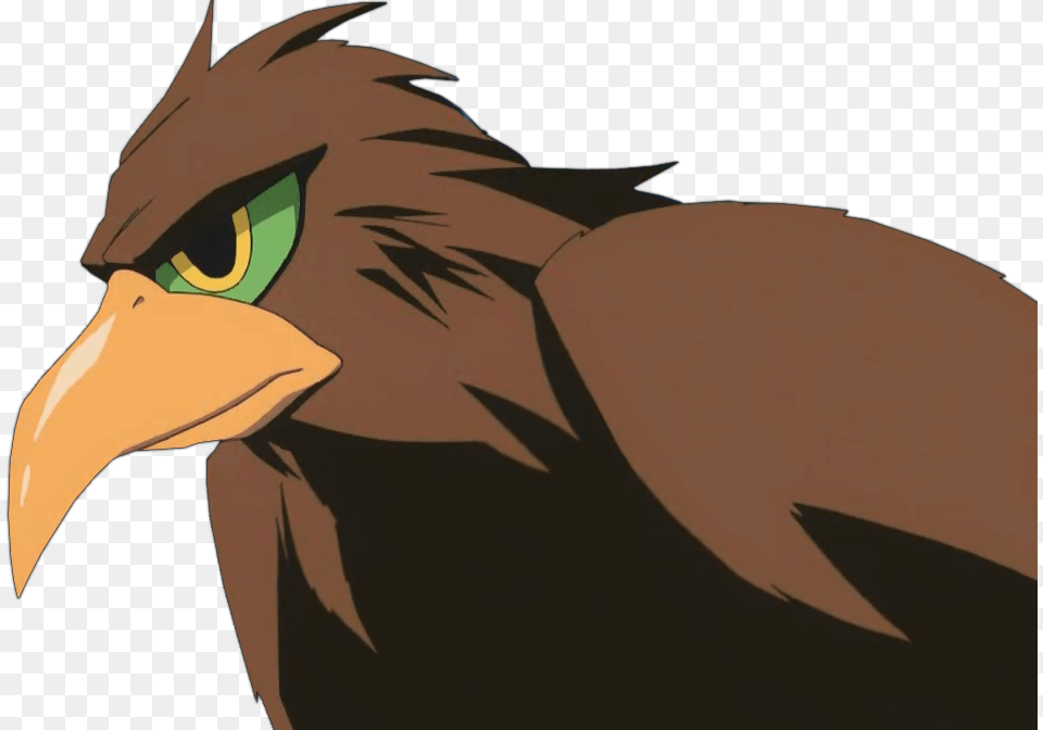 Bird Form Enigmatic Giant Deltora Quest, Person, Animal, Eagle Free Png