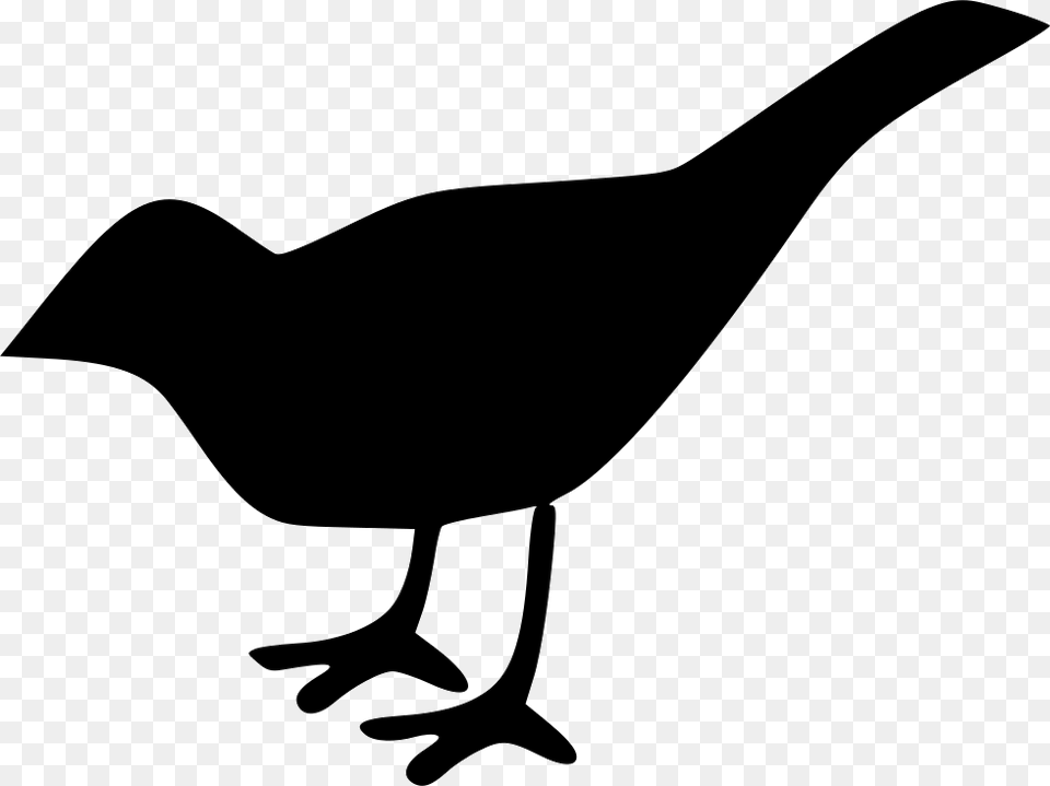 Bird Free Icon, Silhouette, Stencil, Animal, Blackbird Png Image