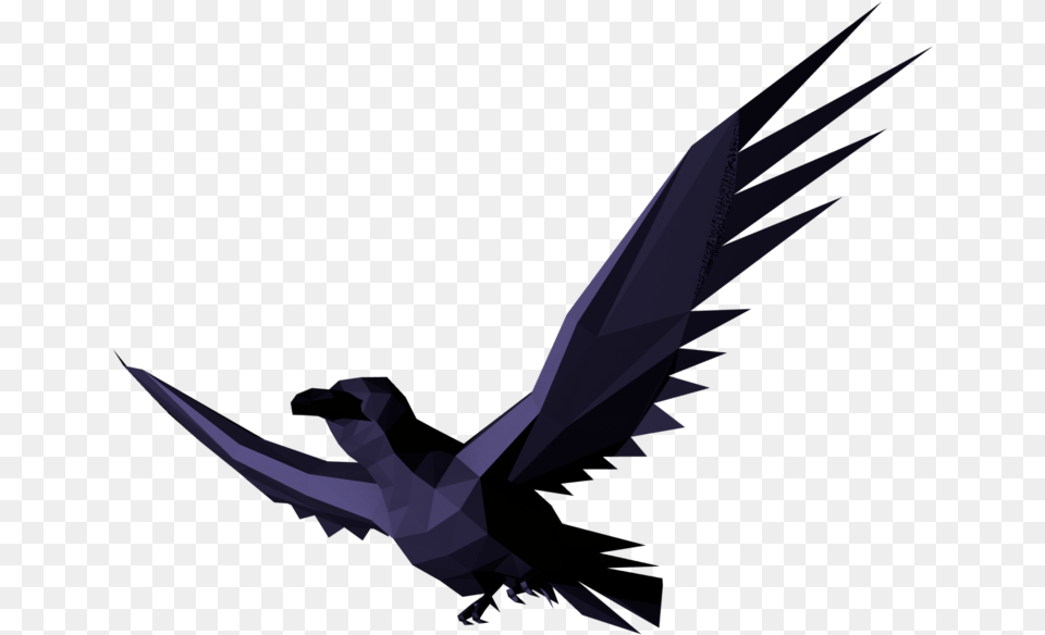 Bird Gif Animated Film Desktop Wallpaper Flying Bird Gif Free Png