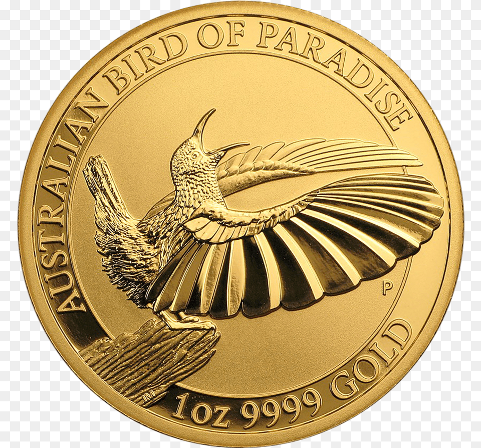 Bird Gold Coin, Animal, Money Png Image