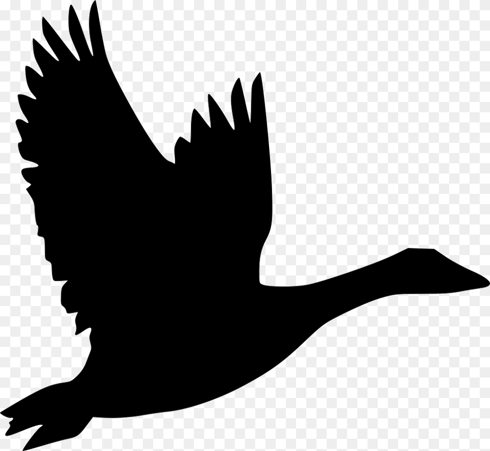 Bird Goose Flight Duck Clip Art, Silhouette, Adult, Person, Female Free Png Download