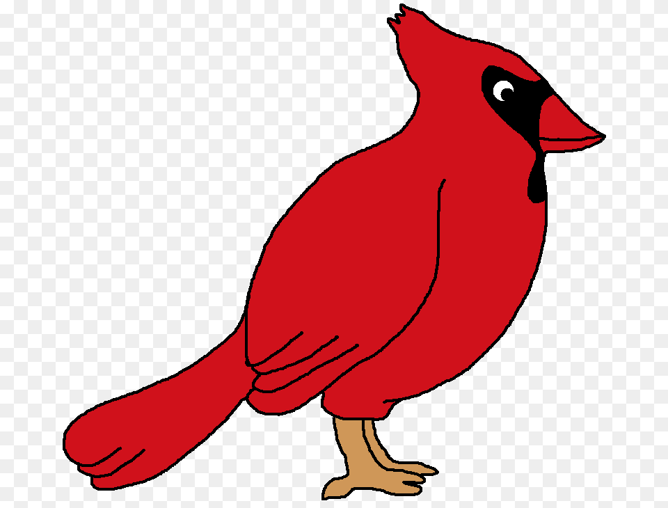 Bird Graphic, Animal, Cardinal, Baby, Person Free Png